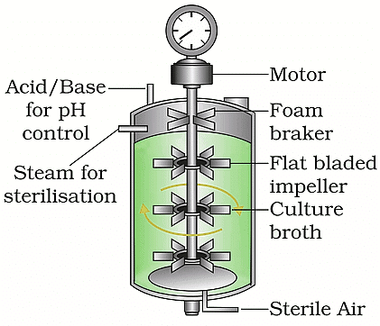 Important Diagrams Biotechnology Principles And Processes Biology