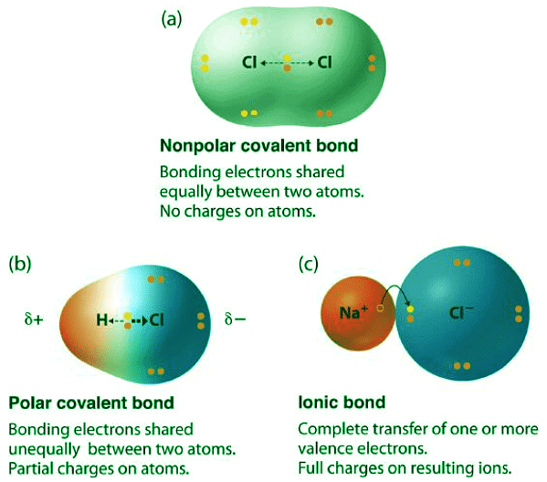 Electronegativity And Bond Polarity Chemistry Optional Notes For UPSC