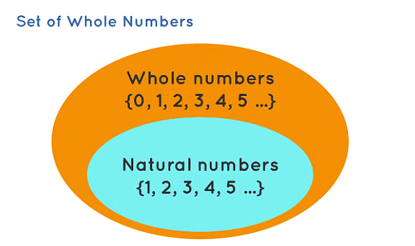 Notes Whole Number Mathematics And Pedagogy Paper 2 For CTET And TET