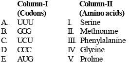 Match The Codons Given In Column I With Their Respective Amino Acids