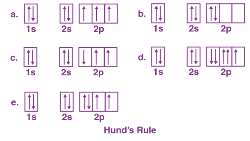 Hund S Rule And Pauli S Exclusion Principle Physical Chemistry Pdf