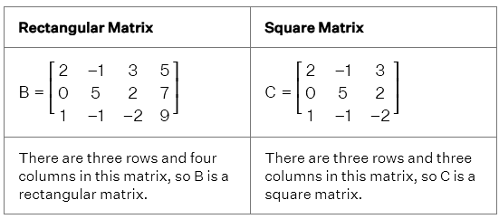 Types Of Matrices Business Mathematics And Statistics B Pdf