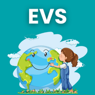 Best LKG Study Material Courses For LKG Syllabus