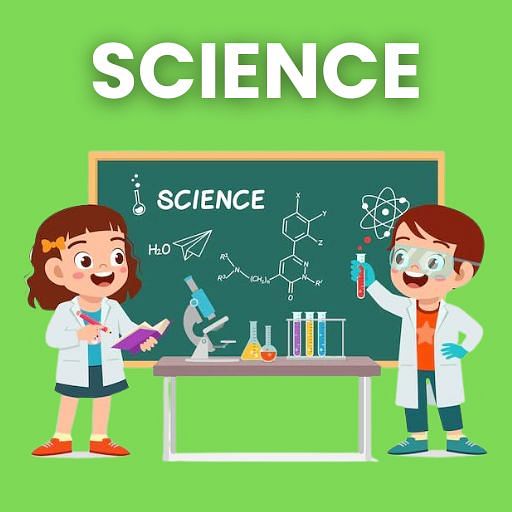 science-for-year-4-for-year-4-preparation-syllabus-video-lectures