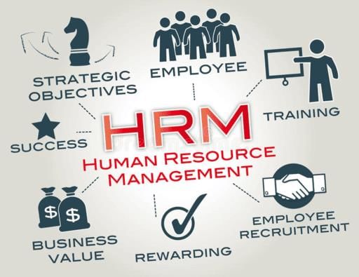 Human Resource Management Job Function