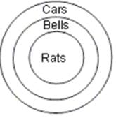Practice Questions Level 1: Syllogism - 1 - Notes | Study Level-wise Practice Questions for CAT Preparation - CAT