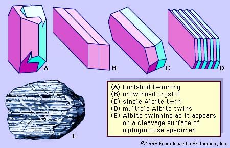 answer Image