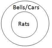 Practice Questions Level 1: Syllogism - 1 - Notes | Study Level-wise Practice Questions for CAT Preparation - CAT