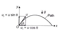 Projectile Motion - Class 11 PDF Download