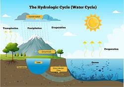 The Biogeochemical Cycles - Class 9 PDF Download