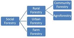 Social Forestry And Agroforestry - Geography Optional For UPSC (Notes ...