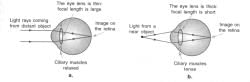 Detailed chapter Notes - Ray Optics : Human Eye and Colourful World ...