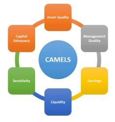 CAMELS Rating System: Meaning, Background, Components