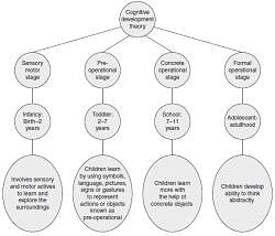 Notes Cognitive Development Theory Child Development and