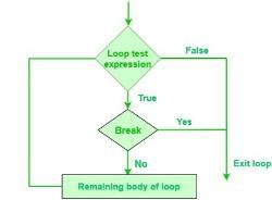 Python break statement - Class 9 PDF Download