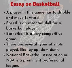 basketball essay pdf