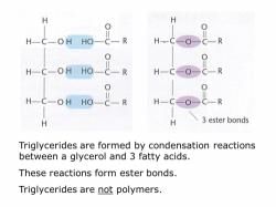 Fatty acids and glycerol - NEET PDF Download