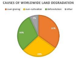 essay pie chart