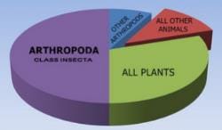 Classification of phylum Arthropoda - NEET PDF Download