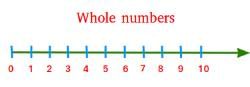 NCERT Textbook: Whole Numbers - Mathematics (Maths) Class 6 PDF Download