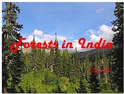 Forests in India - Indian Geography, UPSC, IAS - Geography (Prelims) by ...