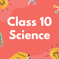 Class 10 Science by Don t Memorise