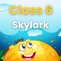 Class 6 English Skylark  Summary  Worksheets  Question   Ans