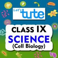 Cell organelles - Structure and function - Class 9 Biology - Science ...