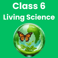 Living Science  Ratna Sagar  for Class 6