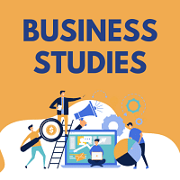 Business Studies for Grade 11