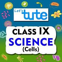 CBSE Class 9 Biology CELLS -Videos   Documents by Let s tute