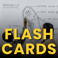 Flashcards for NEET