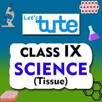 CBSE Class 9 Biology TISSUES -Videos   documents by Letstute