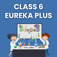 Eureka Plus Class 6  Book Solutions  Notes   Worksheets