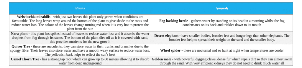 Deforestation Of Tropical Rainforest - Year 11 Pdf Download