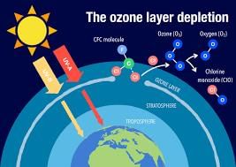 Weather, Water and Air - 2 Class 4 Worksheet Science