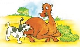 How the Camel Got His Hump Summary Class 8 English It So Happened Chapter 1