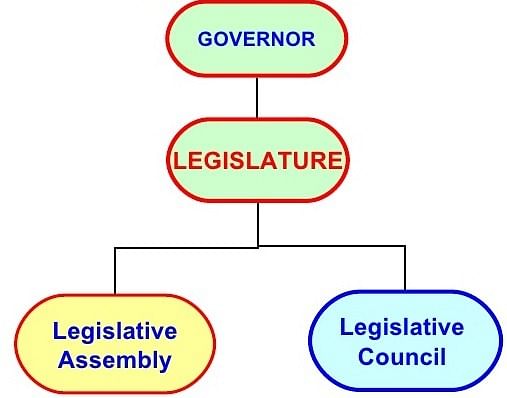 The State Executive