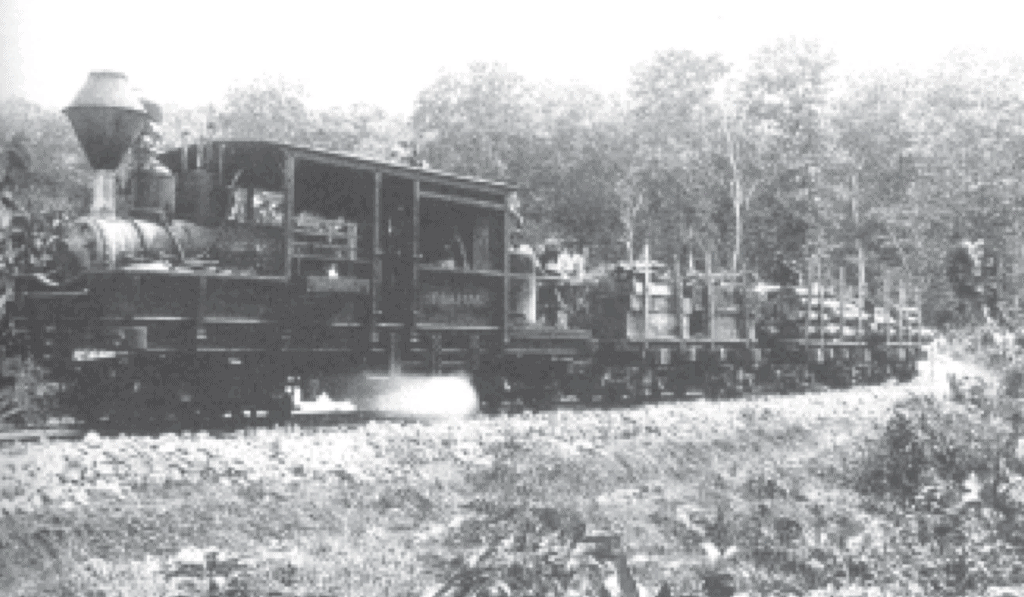 Train transporting teak out of the forest