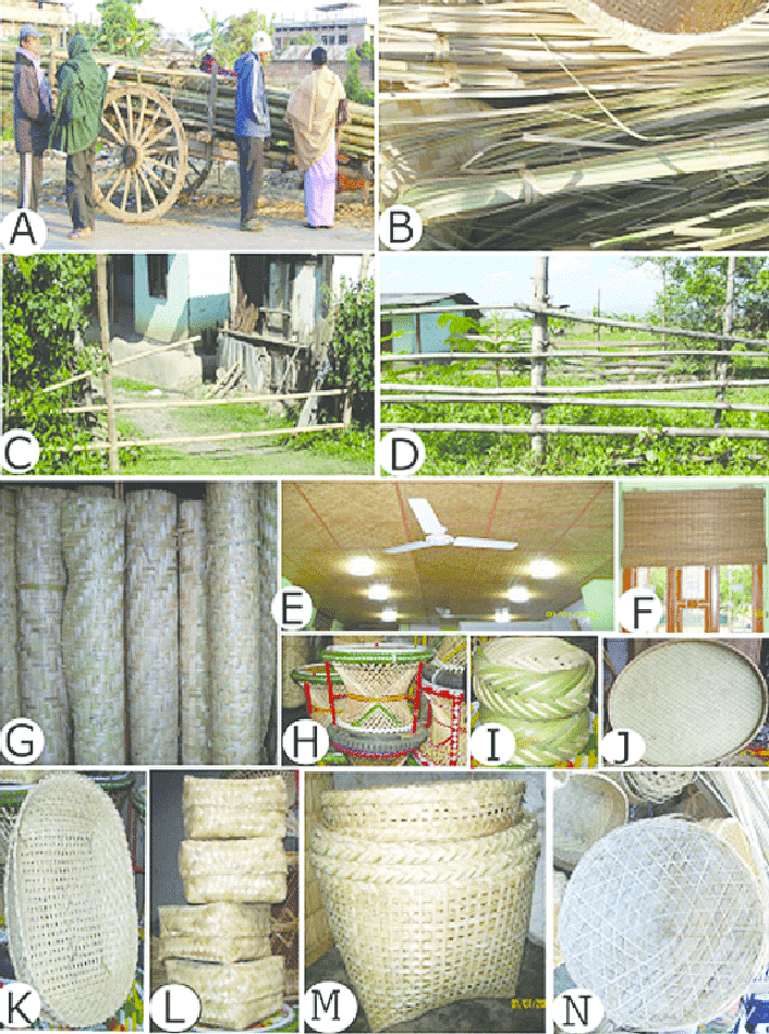 Uses of Bamboo