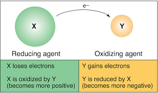 Reducing and Oxidizing agent