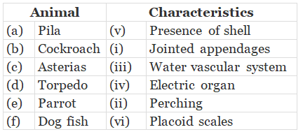 NCERT Exemplar: Animal Kingdom | Biology Class 11 - NEET