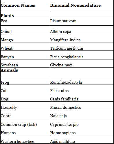 NCERT Notes: The Living World - Notes | Study NCERTs at Fingertips: Textbooks, Tests & Solutions - NEET