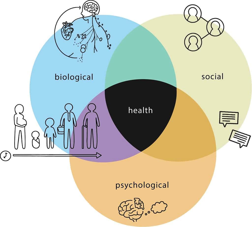 Biopsychosocial Model of Health