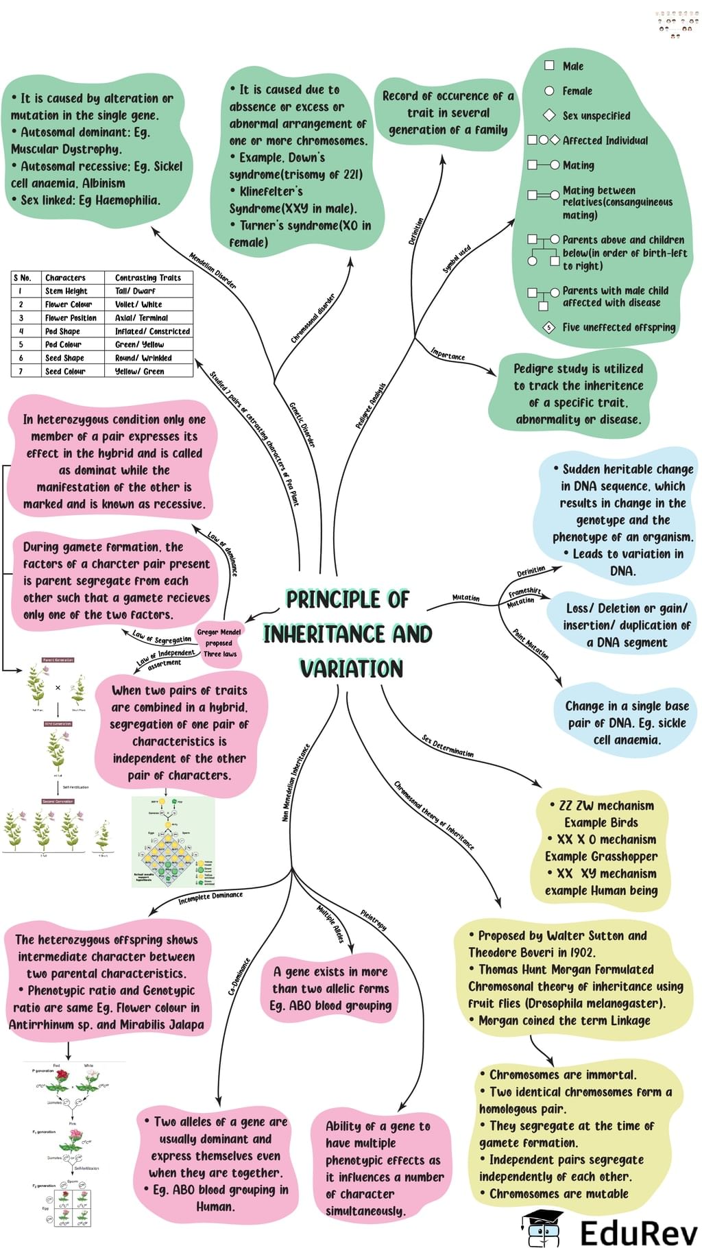 mind-map-principles-of-inheritance-variation-notes-study-biology