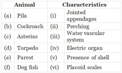 NCERT Exemplar: Animal Kingdom | Biology Class 11 - NEET