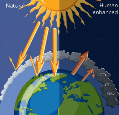 Environmental Issues NCERT Solutions | Biology Class 12 - NEET