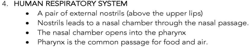 Key Notes: Breathing And Exchange Of Gases - NEET PDF Download