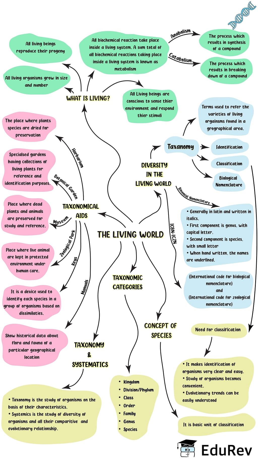 Mind Map: The Living World Notes | Study Biology Class 11 - NEET
