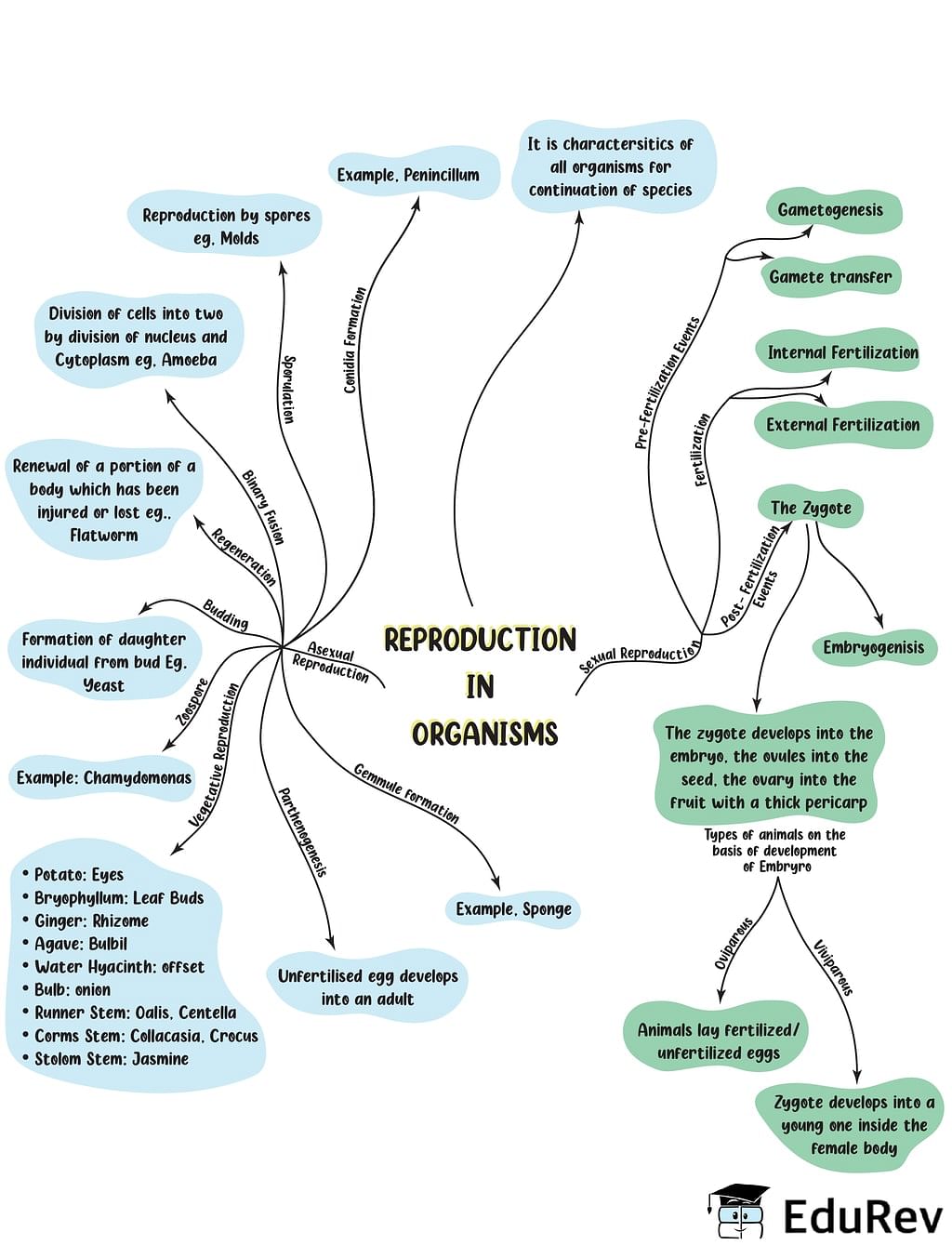 Mindmap: Reproduction in Organisms | Biology Class 12 - NEET